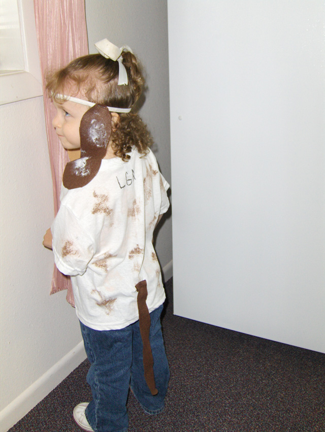 gallery11/036.jpg