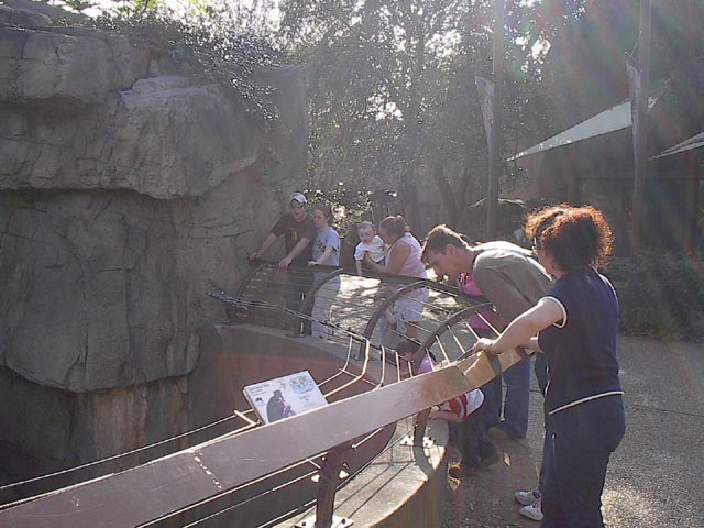 gallery5/IM001307.jpg