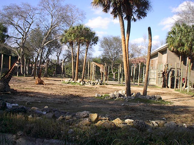 gallery5/IM001315.jpg