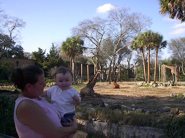 gallery5/IM001316.jpg