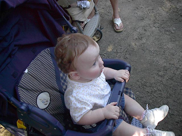 gallery5/IM001318.jpg