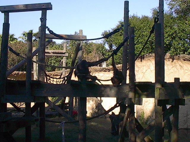 gallery5/IM001324.jpg