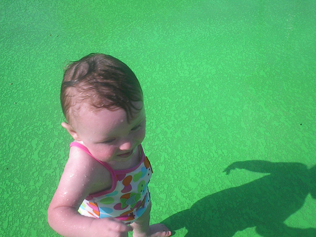 gallery6/IM001420.jpg