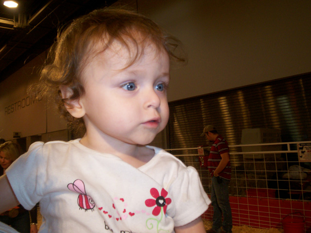 gallery9/100_0006.jpg