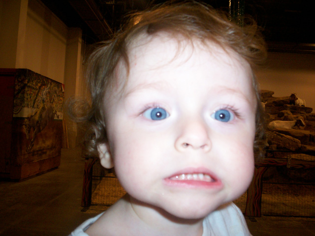 gallery9/100_0012.jpg